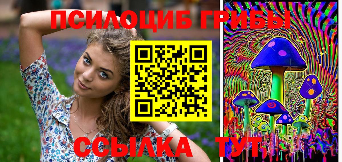 Галлюциногенные грибы GOLDEN TEACHER Чайковский