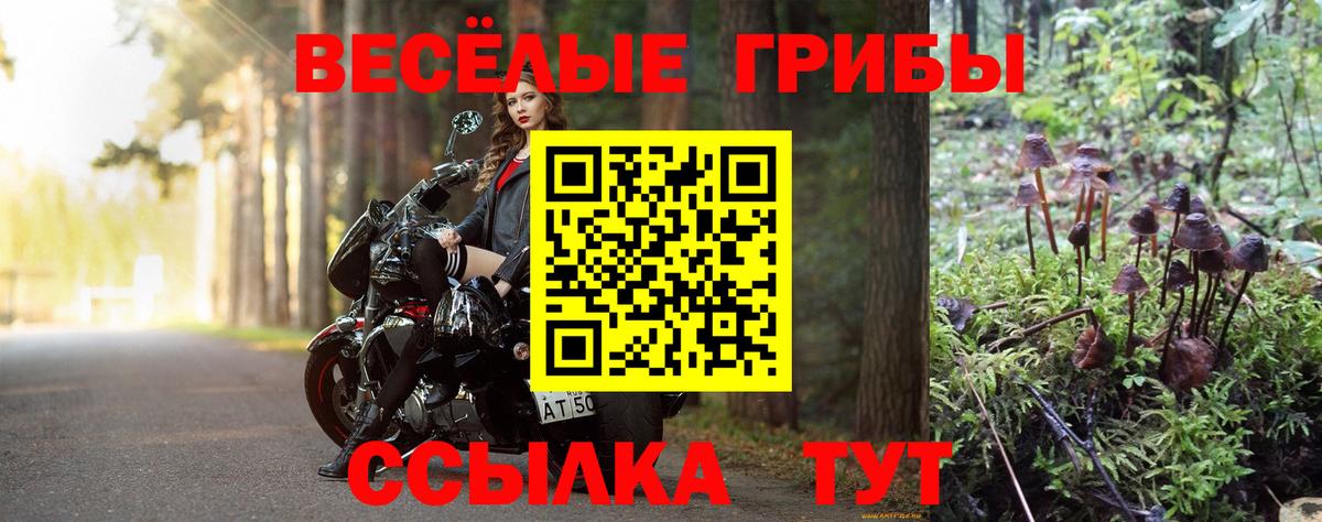 магазин продажи наркотиков  Вход с VPN  Чайковский  Псилоцибиновые грибы ЛСД 